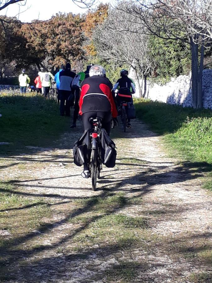 B&B Masseria Santanna Impalata Kültér fotó